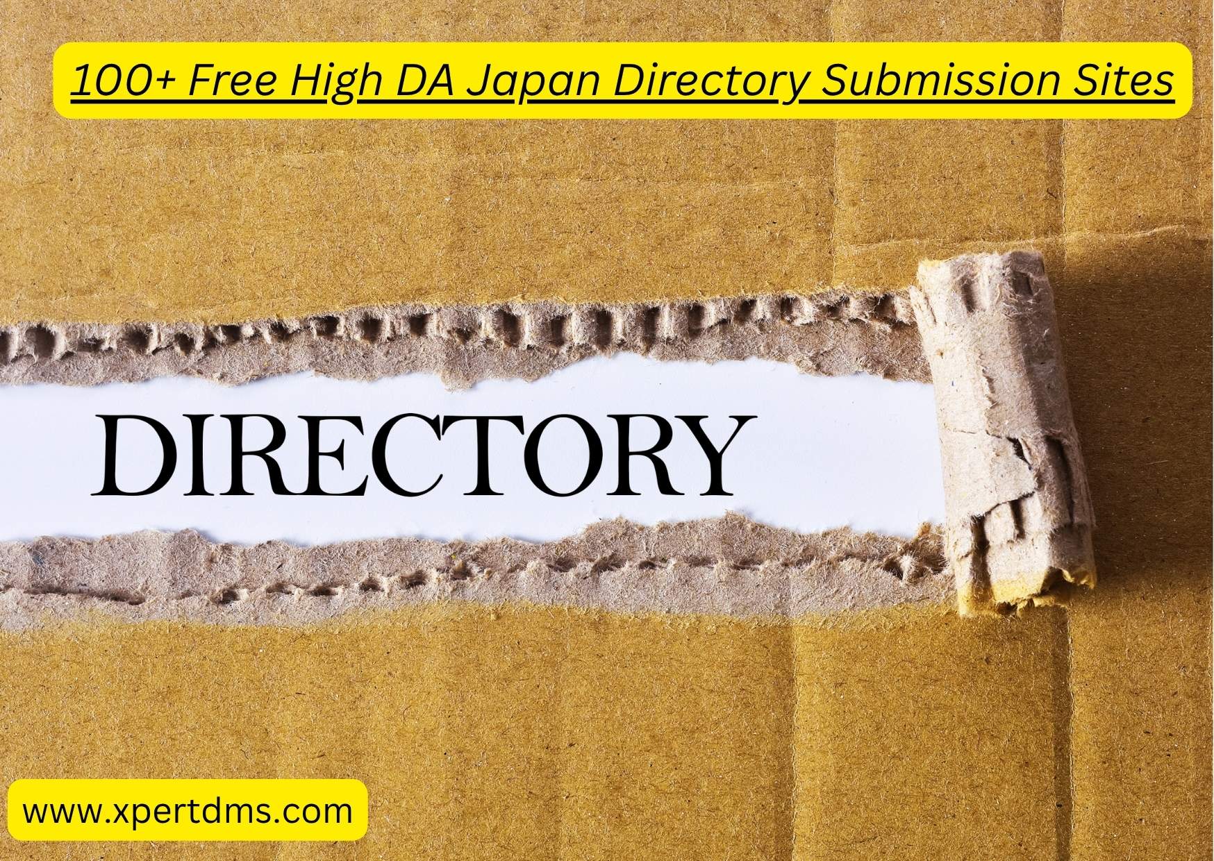 100+ Free High DA Japan Directory Submission Sites List