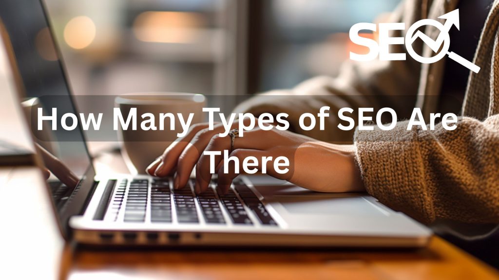 How Many Types of SEO Are There